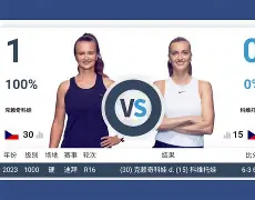 龙8国际官网-从里程碑夜孟菲斯灰熊回应争议到科维托娃关键节点爆冷，今夜夏洛特黄蜂单刀错失的简单介绍